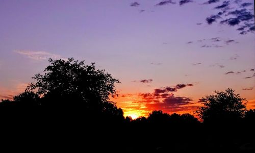 Silhouette trees against sky at sunset