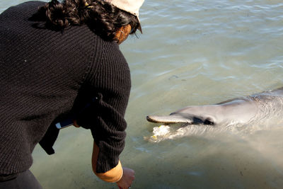 Rear view of woman looking at dolphin swimming in sea