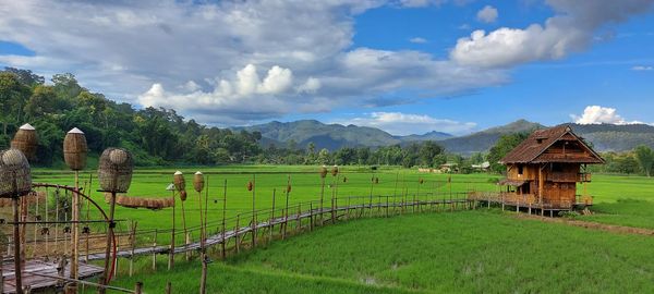 Scenic view of agricultural field against sky