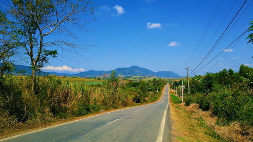 Country road amidst plants against sky