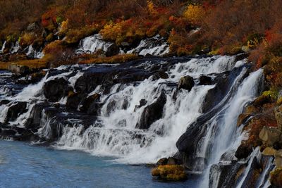 Scenic view of waterfall in forest during autumn
