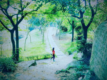 Full length of woman standing in forest