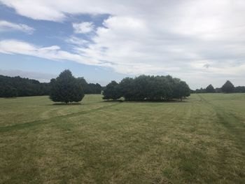 Scenic view of field against sky
