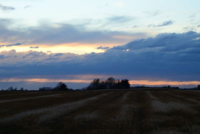 Scenic view of field against sky at sunset