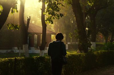 Rear view of man with bag walking in park during sunset