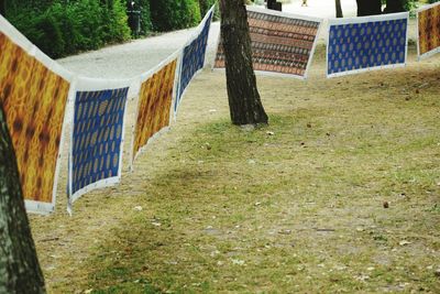 Clothes drying on grass