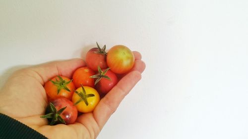 Cropped image of person holding fruits