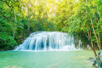 Scenic view of waterfall in forest