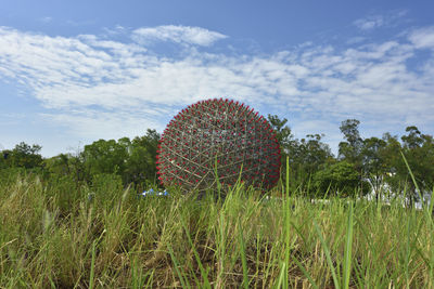 Plants growing on field against sky