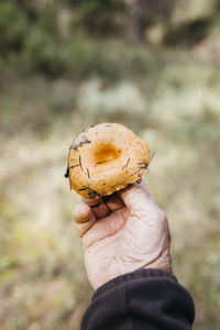 Close-up of senior man showing found mushroom