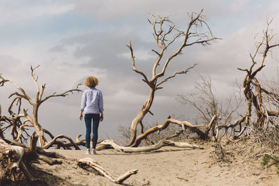 Rear view of boy standing on sand