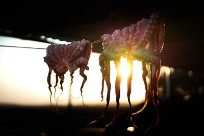 Close-up of burning hanging on barbecue