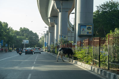 View of street along road