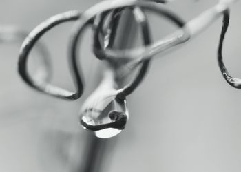 Close-up of water drops on glass