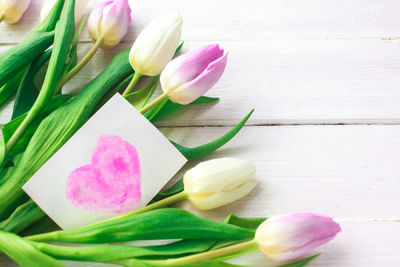 Close-up of tulip flowers on table