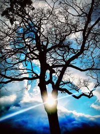 Low angle view of silhouette tree against sky during sunset