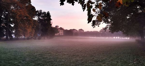 Trees on field against sky during sunset