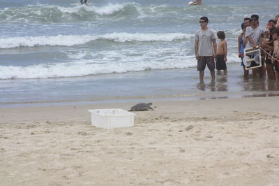 People at beach