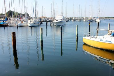 Sailboats moored in harbor