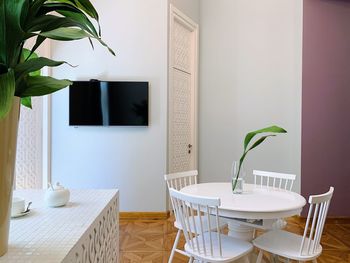 Potted plants on table at home