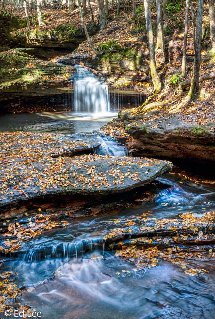 WATER FLOWING THROUGH ROCKS IN FOREST