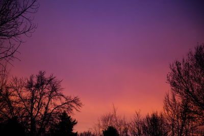 Low angle view of silhouette trees against clear sky