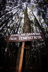 Low angle view of text on tree trunk in forest