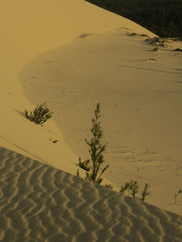 Scenic view of desert during winter