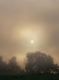 Silhouette trees against sky during sunset