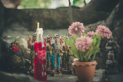 Close-up of potted plants on table