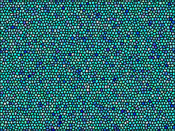 Full frame shot of illuminated lights