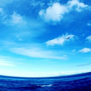 Low angle view of airplane flying over sea against sky