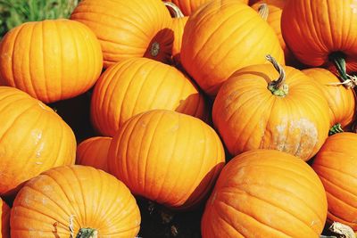 Full frame shot of pumpkins for sale at market