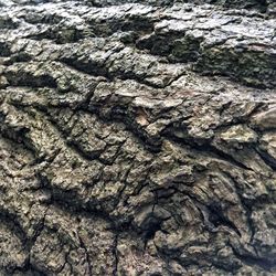 Full frame shot of rock formation