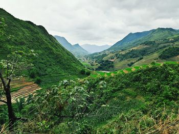 Scenic view of agricultural landscape against sky