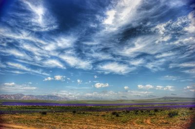 Scenic view of field against sky