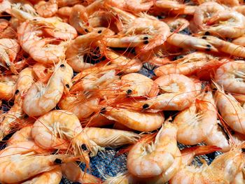 Full frame shot of shrimps for sale at market stall