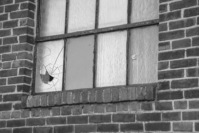 Cat on window of brick wall