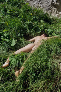 High angle view of man lying on grass