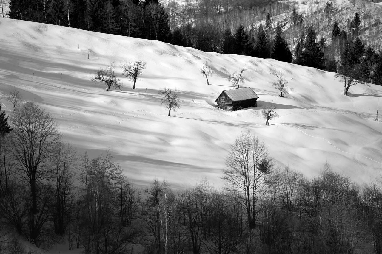 Bran, romania