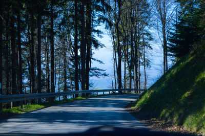 Road amidst trees in forest