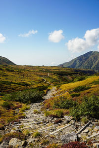 Scenic view of landscape against sky