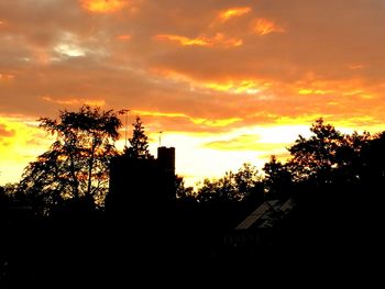 Silhouette of trees at sunset