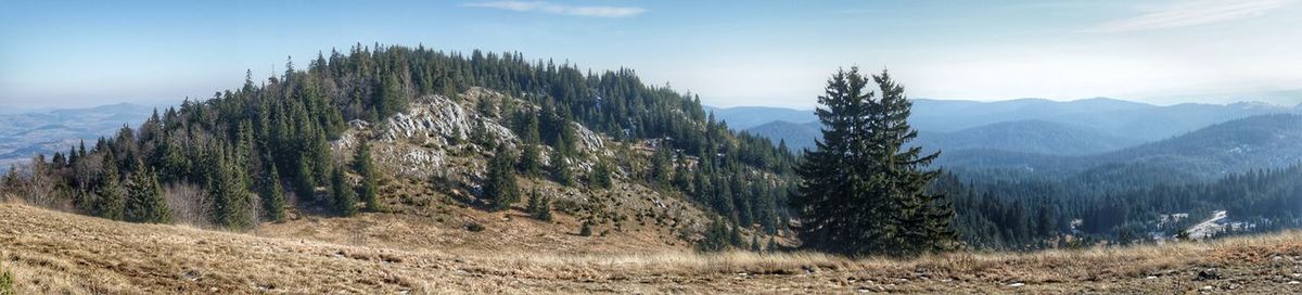 Panoramic shot of trees on land against sky