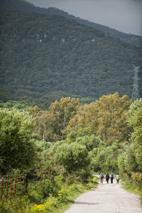 Rear view of people walking on mountain road