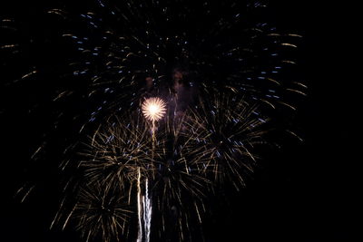 Low angle view of firework display at night