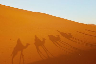 Shadow of people on sand dune in desert against clear sky