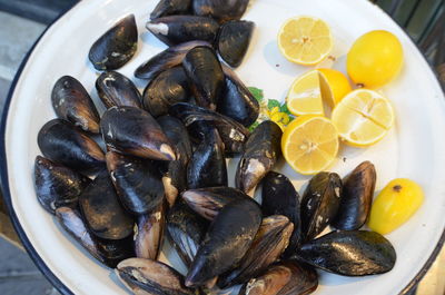 High angle view of stuffed mussels in plate