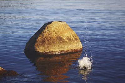 Close-up of rock in lake against sky