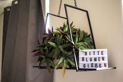 Close-up of potted plant with text hanging at home